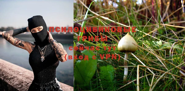 индика Кодинск