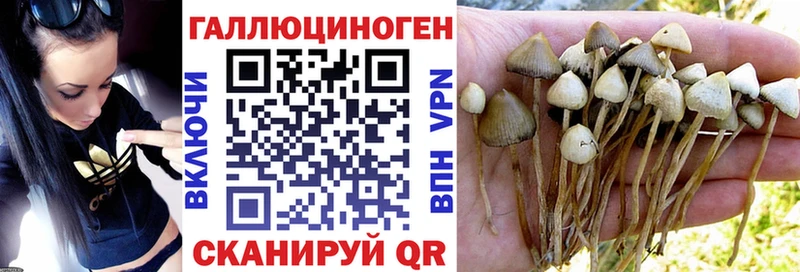 blacksprut ссылки  Отрадный  Галлюциногенные грибы GOLDEN TEACHER  купить  сайты 